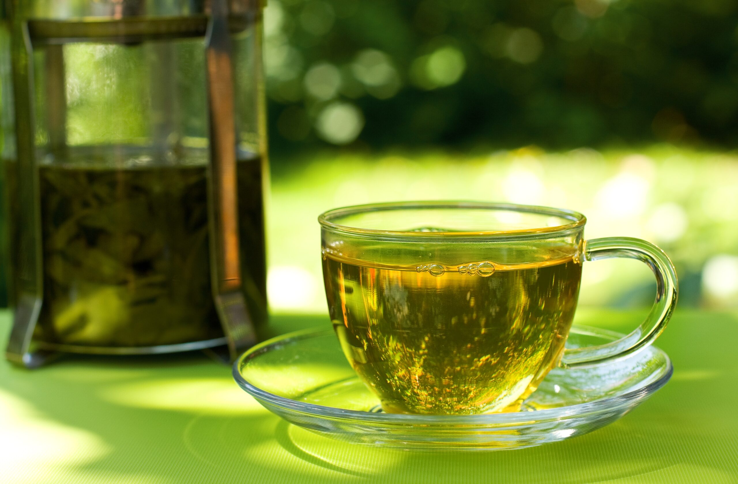 Green tea burn fat reviews