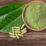 The Traditional Connection of Kratom: Healing via Legacy