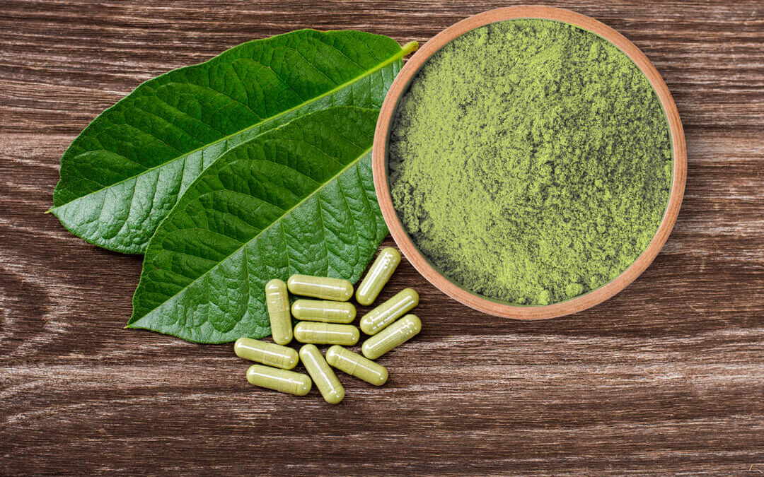 The Traditional Connection of Kratom: Healing via Legacy