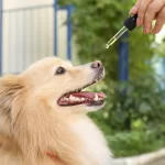 CBD Oil for Dogs: Natural Relief for Joint Pain, Arthritis, and Inflammation